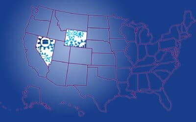 Why Incorporate In Nevada or Wyoming?