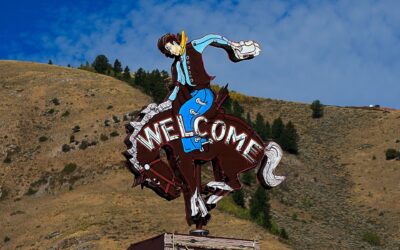Why You Always Want A Wyoming LLC