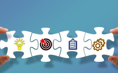 Effective Wyoming LLC Strategy for Asset Protection
