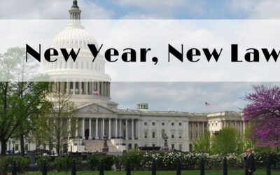 What’s new in 2021?