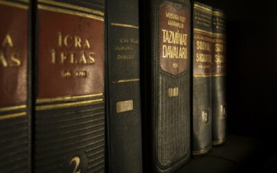 Case Study: Florida Single Member LLC’s and Charging Orders