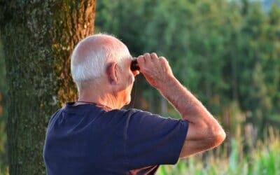 Courts Limit Pension Payouts