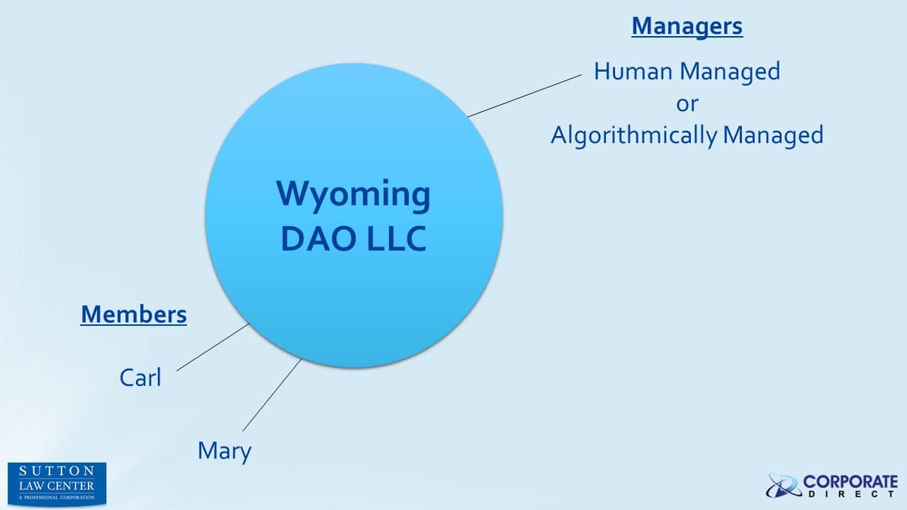 Wyoming DAO Chart