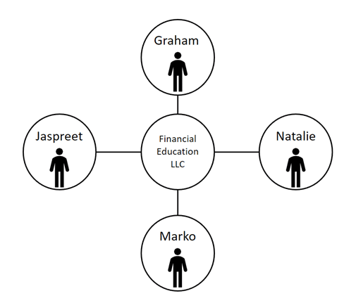 Multi Member LLC Graphic 1