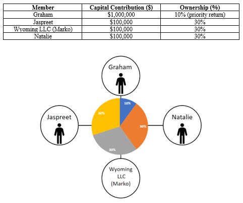 Multi Member LLC Graphic 3